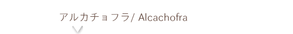 Alcachofra