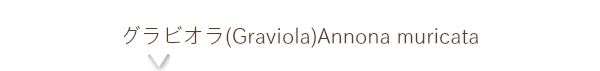 Graviola