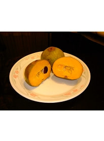 ルクマ(Lucuma)